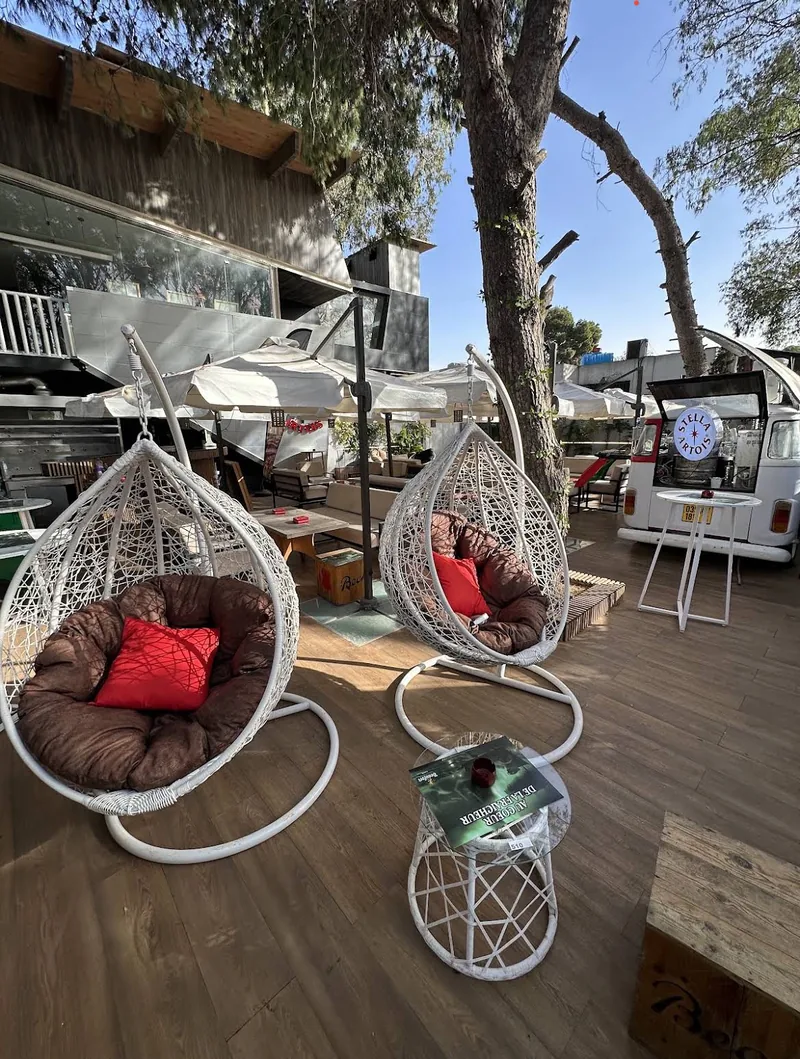 Hanging rattan chairs on the wooden terrace, in the shade of the trees.