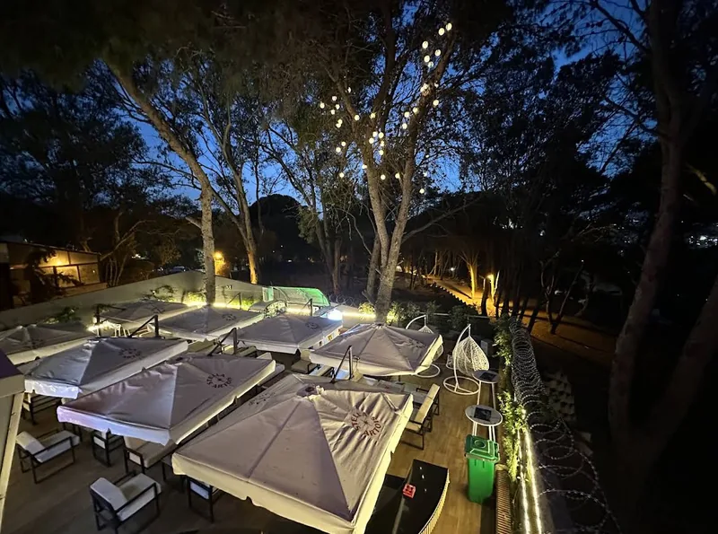 The PianoPiano.dz terrace at blue hour, festoon lights in the pines, the park below.